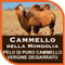 cammello