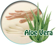 Memorax Aloe